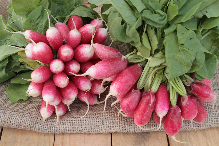 ASSO_LEGUMES_PRINTEMPS_3.jpg