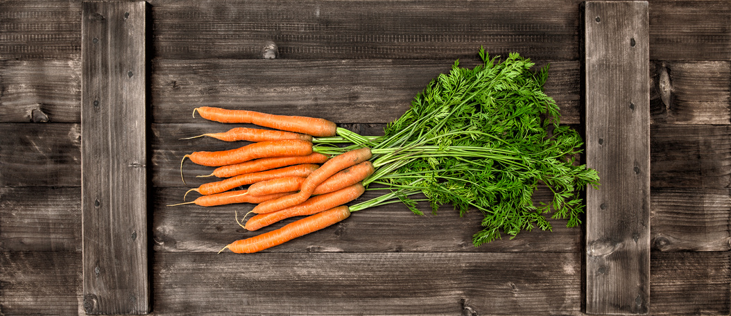 ASSO_LEGUMES_PRINTEMPS_4.jpg
