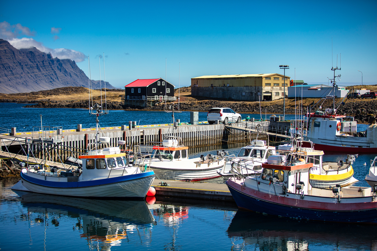 CDM_ISLANDE_2.jpg
