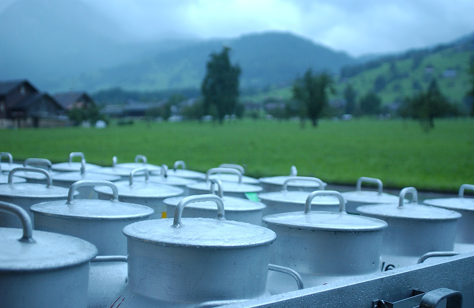 LSV_NUTRIMENTS_LAIT_2.jpg