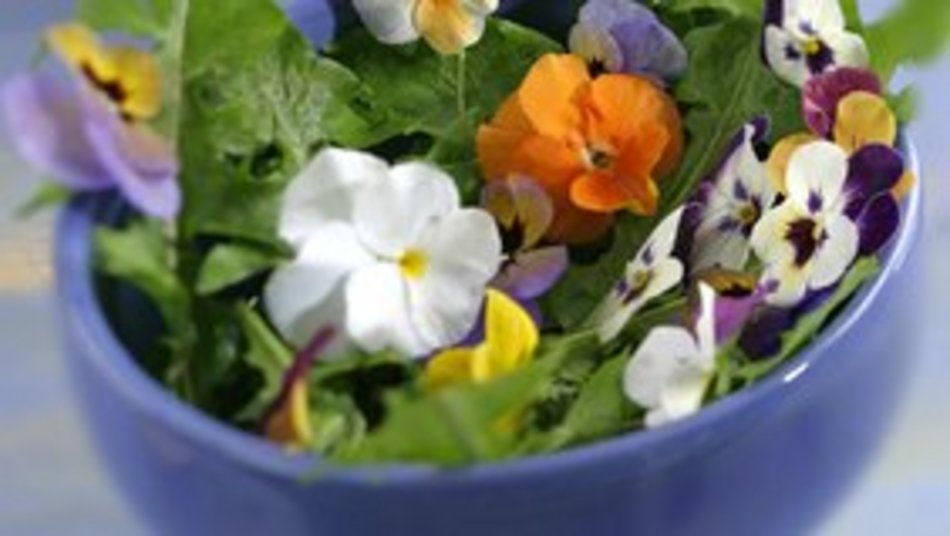 csm_ASSOCIATIONS_FLEURS_b7d715e7a4.jpg
