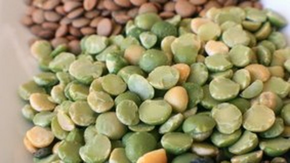 csm_CDS_LEGUMES_SECS_2_5a1a9ed15b.jpg