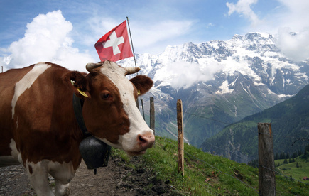 ACTU_ETE_EN_SUISSE_2.jpg