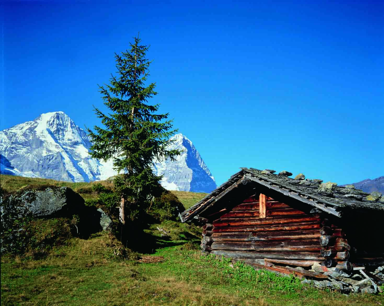 ACTU_ETE_EN_SUISSE_6.jpg