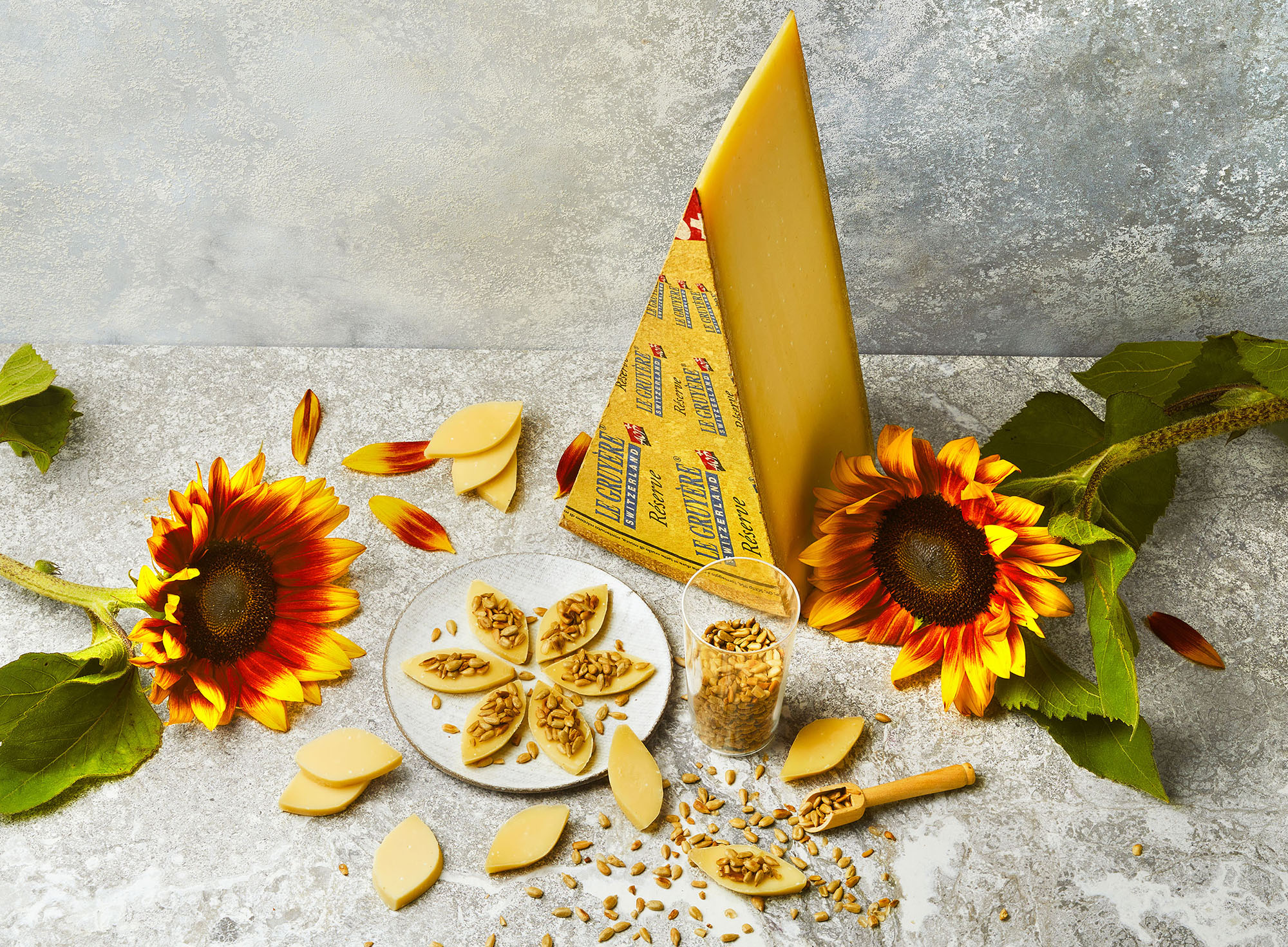 fds-graine-asso-tournesol12234.jpg