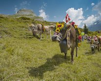100% suisse